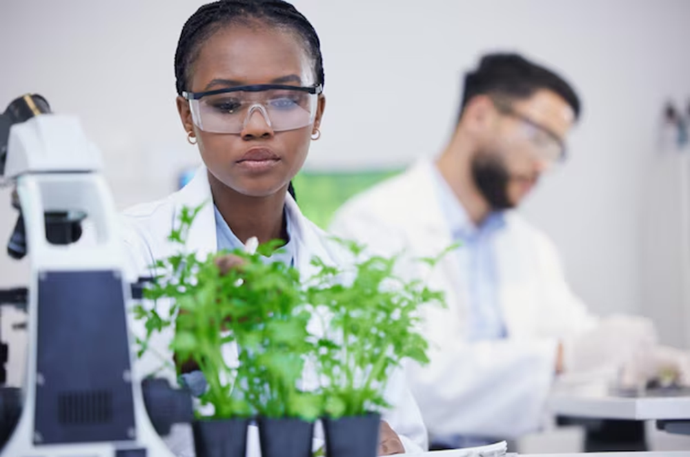 IFPRI and IFDC Job Vacancies in Nigeria for a Research Assistant