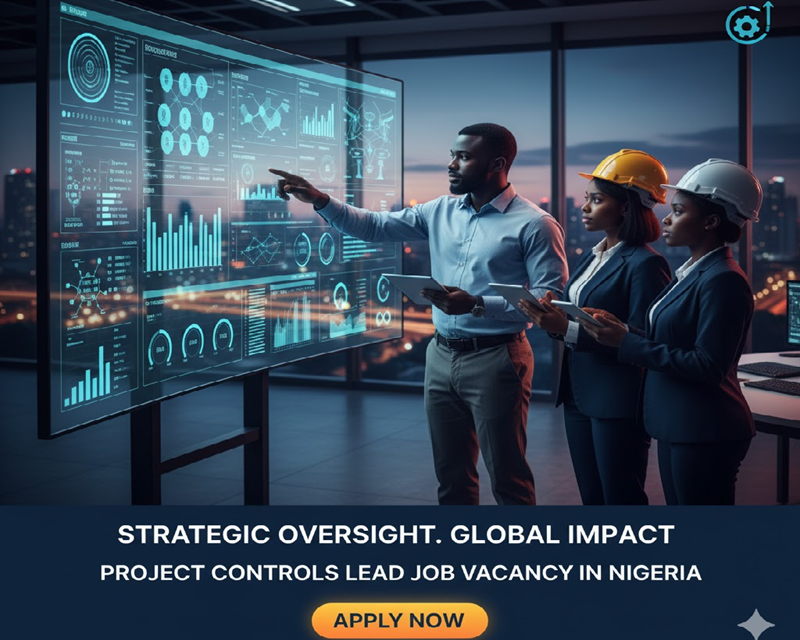 Project Controls Lead Job