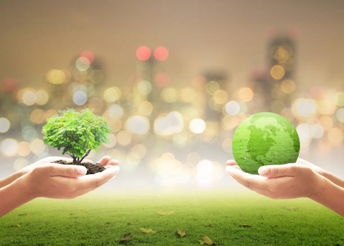 Job Vacancy in Uganda