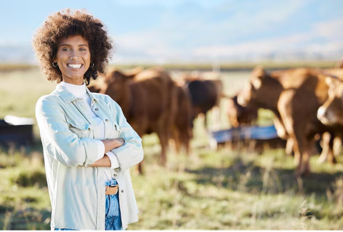 aikipia Ranch Cattle Manager Job Vacancy