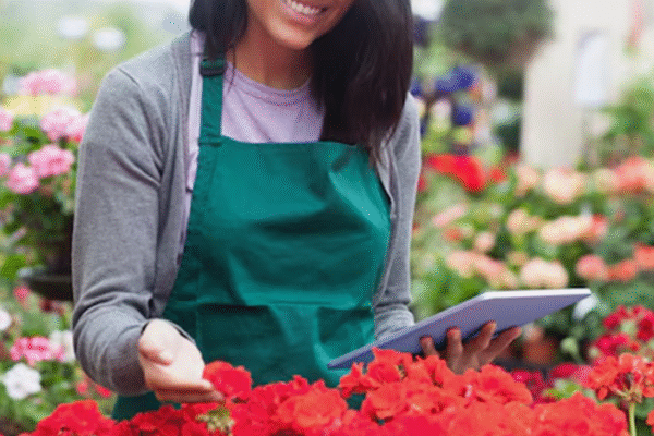 Assistant Farm Manager (Rose Flower Production) Job Vacancy in Kenya