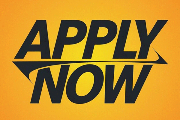 Temp Logistic Assistants Job Vacancy