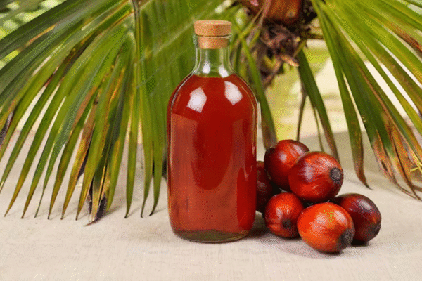 Palm Oil Trader Job Vacancy in Singapore