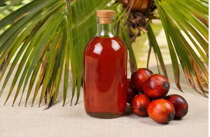 Palm Oil Trader Job Vacancy in Singapore