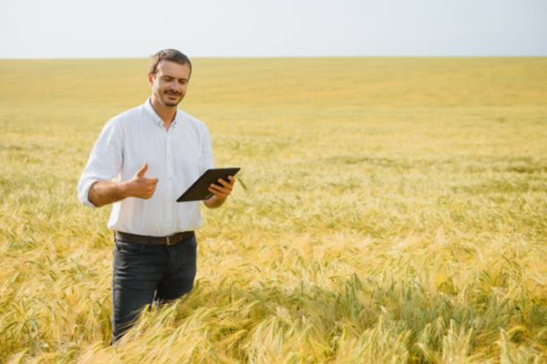 Flour Mills of Nigeria Plc Jobs Vacancies