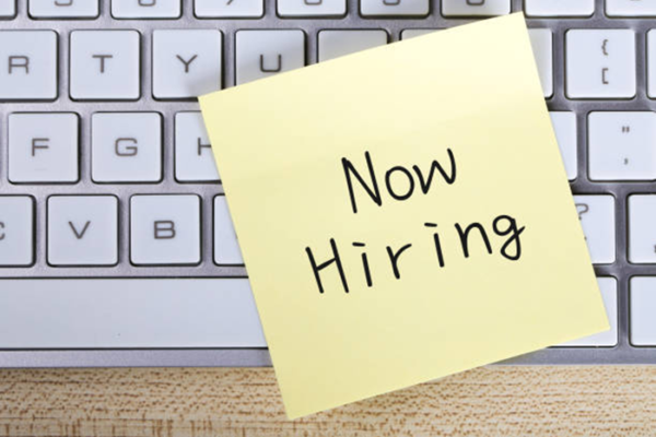 PRIMARY HEALTH CARE OFFICER Job