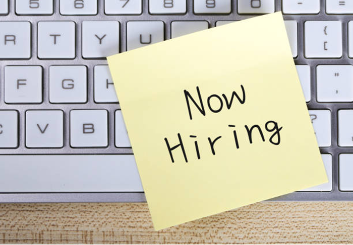 PRIMARY HEALTH CARE OFFICER Job