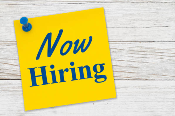 Bravo Consultants Jobs Vacancies in Kenya