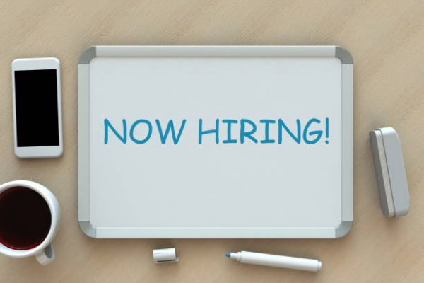 World Vision Africa Field Security Officer Job Vacancy in Kenya