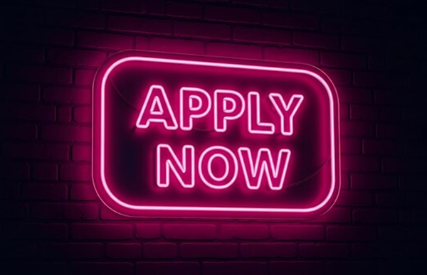 Website Designer/Developer Job Vacancy