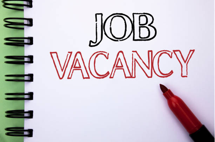 Programmer Job Vacancy in Srinagar India– Cantonment Board Office