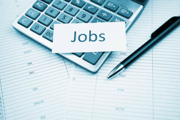Senior Executive/Assistant Manager/Manager Jobs Vacancies