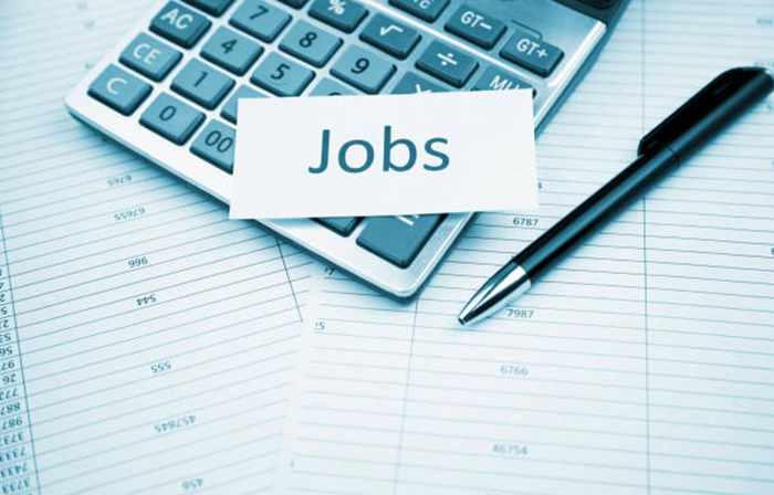Senior Executive/Assistant Manager/Manager Jobs Vacancies