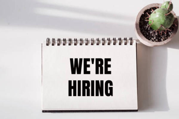 IT Manager Job Vacancy in Discovery Air Inc