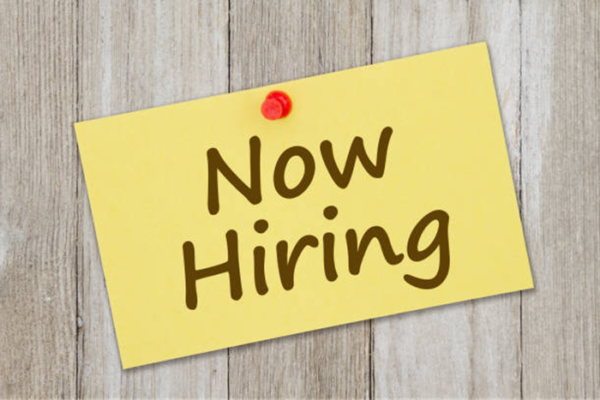 PAL Aerospace Job Vacancy for Software Developer Career