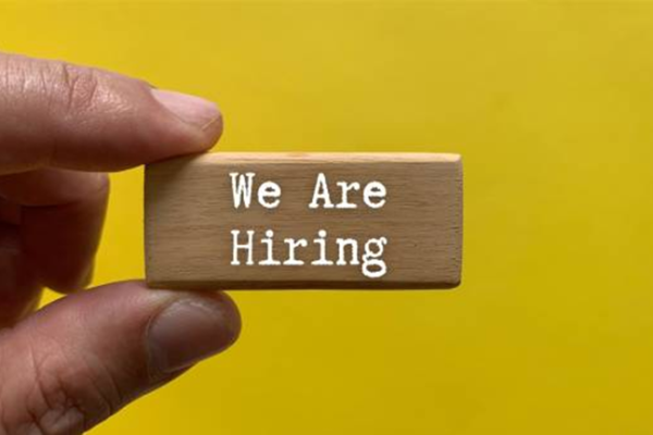 CONTRACT SAS Programmer Job Vacancy