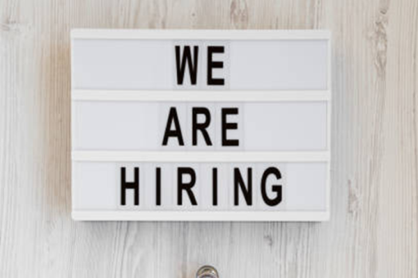 Chief Financial Accountant (CFA) Job Vacancy