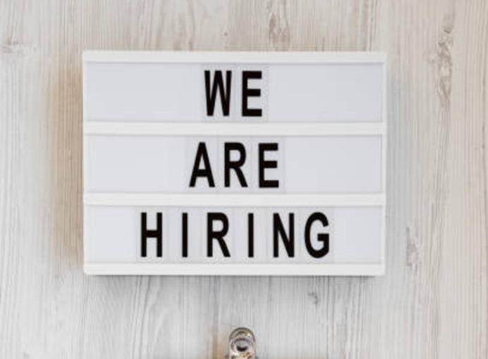 Chief Financial Accountant (CFA) Job Vacancy