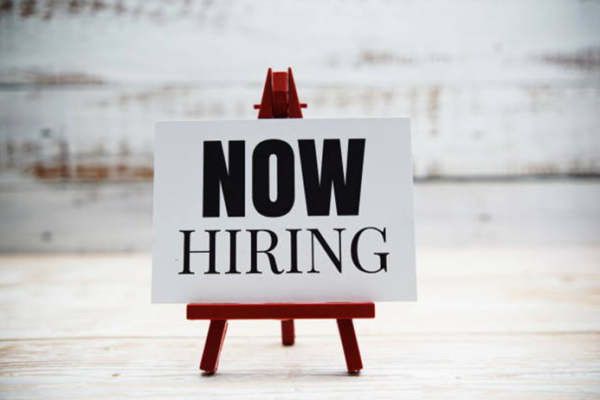 Seed Procurement Supervisor Job Vacancy in Uganda at National Forestry Authority