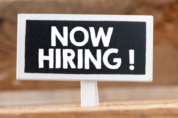 Graduate Development Programme Job Vacancy