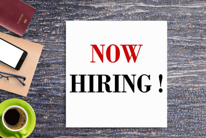 County Council of Ijara Auditor III Job Vacancy in Kenya