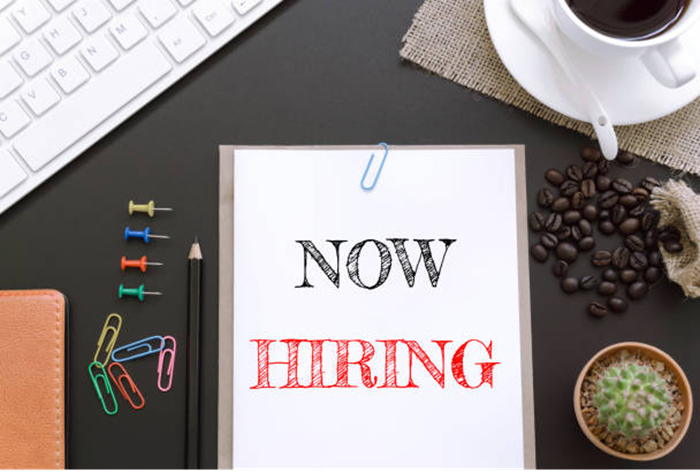 Chief Operating Officer (COO) and Executive Assistant Jobs Vacancies in Kenya