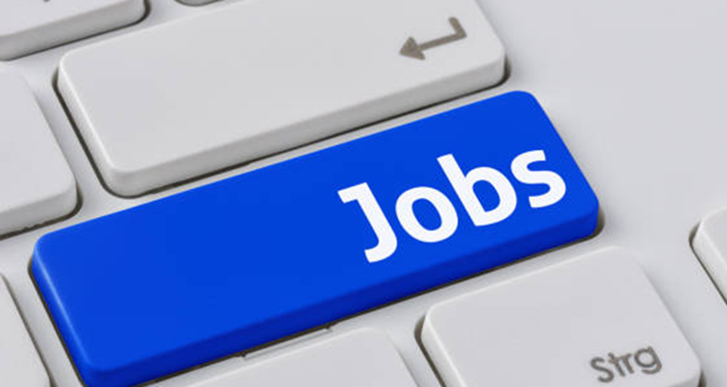 Planning Commission – Joint Advisor (Minerals) Job Vacancy in New Delhi India 1 Planning
