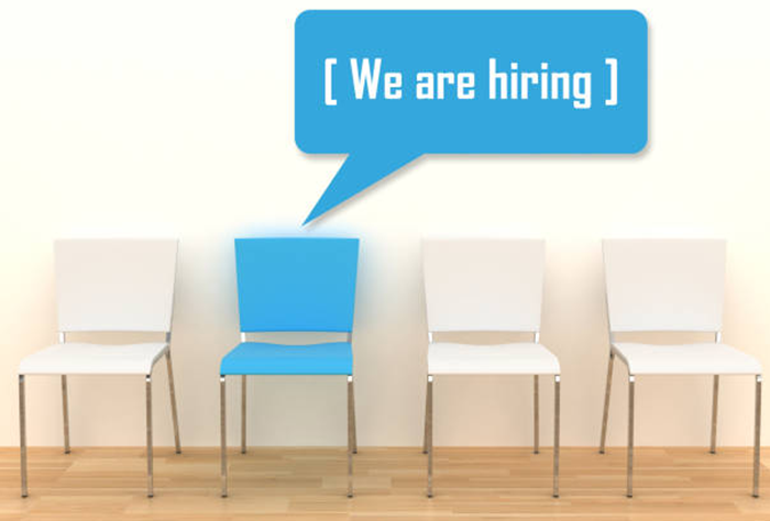 Junior Web Designer Jobs Vacancies in India