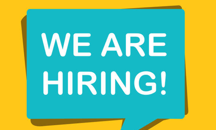 Jobs Vacancies in Uganda for Team Leader Energy & Environment Vacancy (Ugandan Nationals Only) at UN 1 Environment