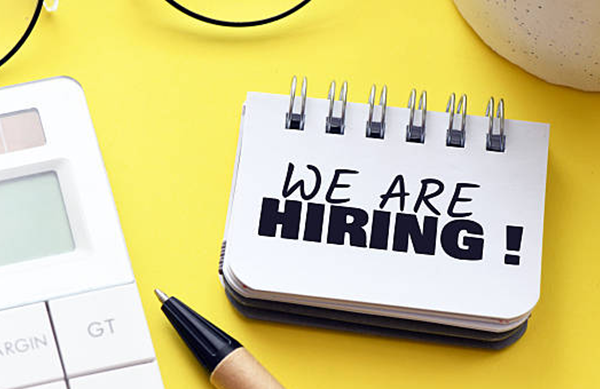 Content writer/Journalism Jobs Vacancies in India