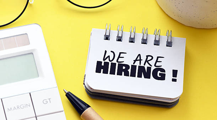 Content writer/Journalism Jobs Vacancies in India