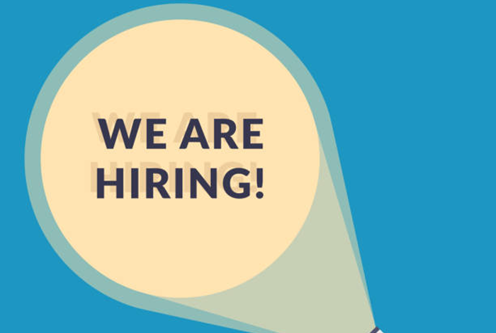Job Vacancy in Kenya for Chief Supplies Officer at KARI 1 KARI