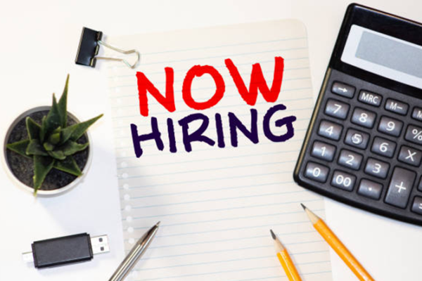 Web Developer Jobs Vacancies in India - S&D