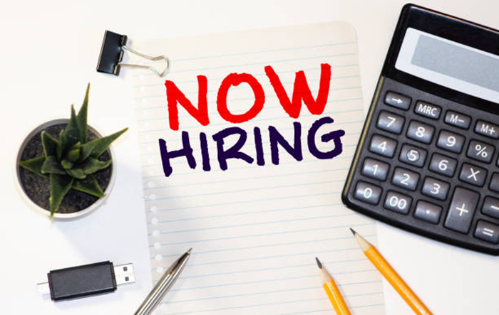Web Developer Jobs Vacancies in India - S&D