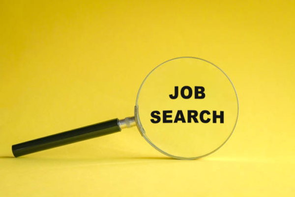 Hivos Programme Officer Expression