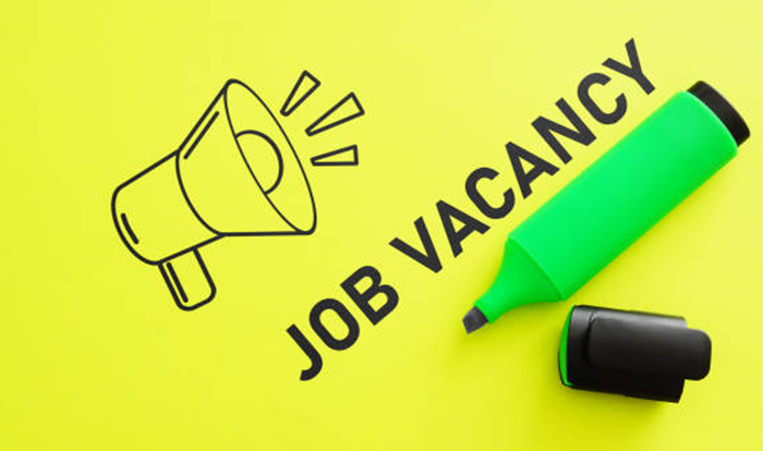 Staff Car Driver Job Vacancy in Jaipur India at Ministry of Water Resources 1 Staff