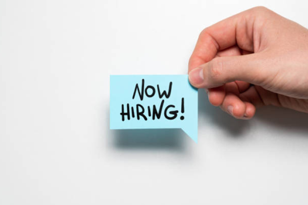 Hivos Programme Officers Rights and Citizenship Job Vacancy in Kenya