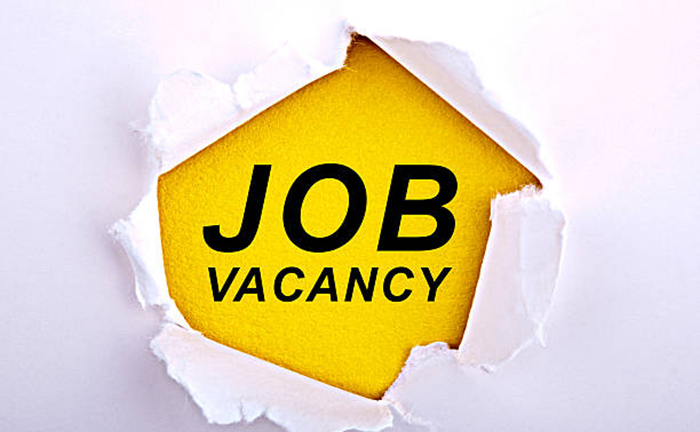 Job Vacancies in Nigeria for Account Officers at Deloitte Nigeria 1 Deloitte