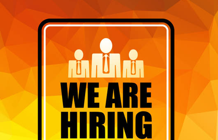 JOBS VACANCIES IN NIGERIA FOR PROFESSORS, LECTURERS AND READERS AT NIGERIAN TURKISH NILE UNIVERSITY 1 TURKISH