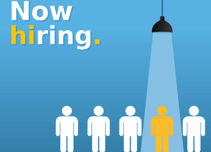 Jobs Vacancies in Delhi India for a Joint Director Recruitment at Public Enterprises Selection Board 1 Delhi