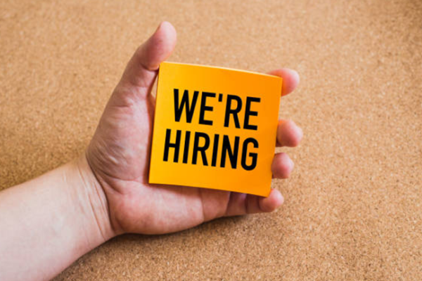 Nigerian Women’s Trust Fund Job Vacancy
