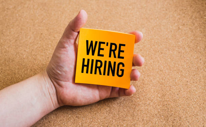 Nigerian Women’s Trust Fund Job Vacancy