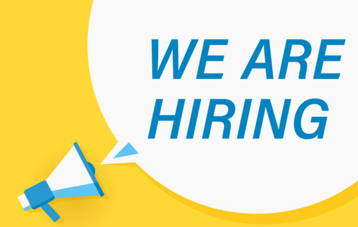 Internal Auditor Job Vacancy in Kenya