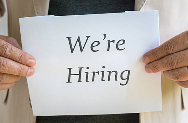 Nigerian Women’s Trust Fund Job Vacancy