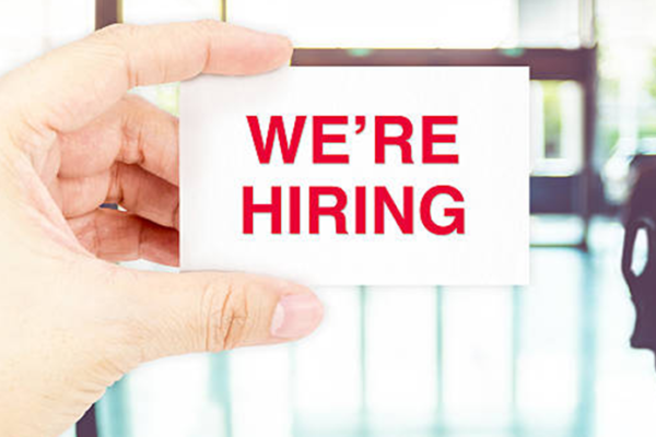 Livelihoods and Food Security Technical Manager Job Vacancy in Kenya