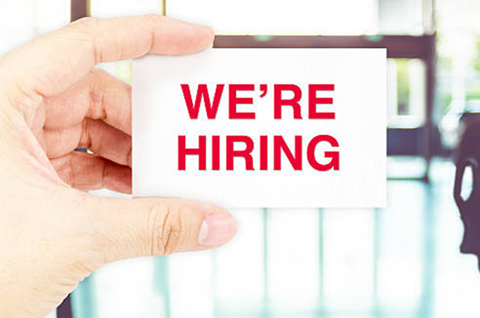 Livelihoods and Food Security Technical Manager Job Vacancy in Kenya
