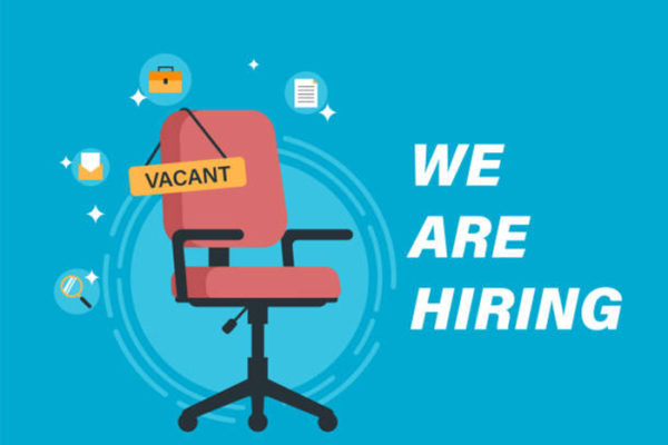 Internship Programme Jobs Vacancies in Nigeria
