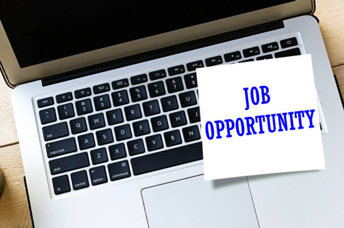 Business Development Officer Jobs Vacancies
