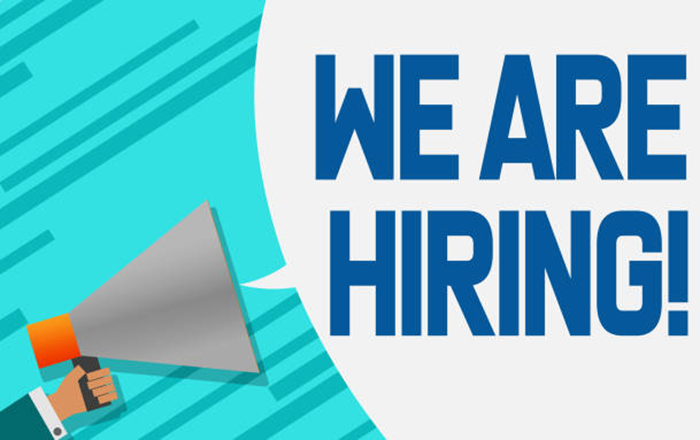 Refugees United Fellow Job Vacancy