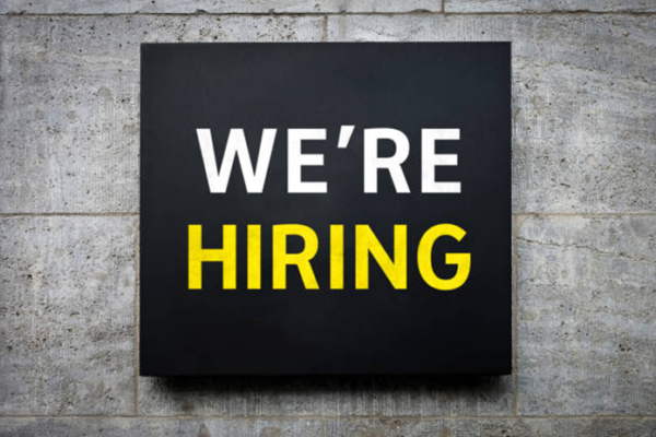 Assistant Programmer Job Vacancy in Jabalpur India